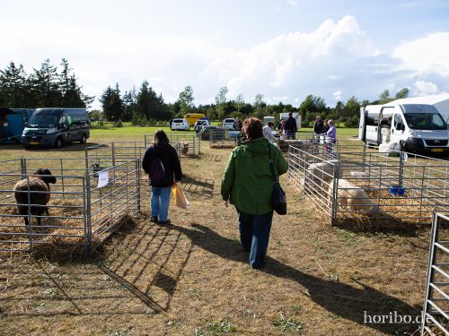 HR-18-08-24-16-50-06-8552