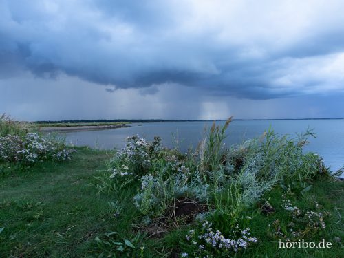 HR-18-08-24-19-28-41-8560