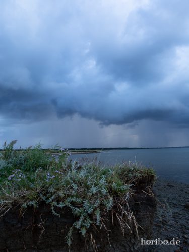 HR-18-08-24-19-29-25-8562