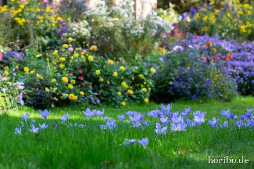 HR-18-10-13-14-16-23-0418