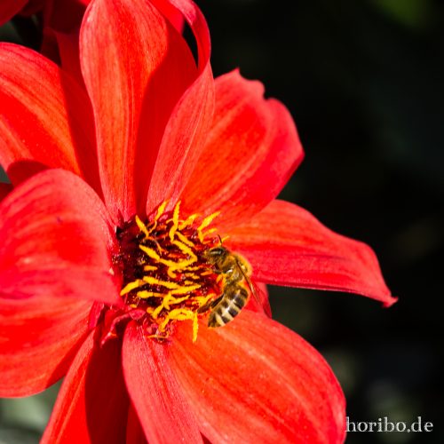 HR-18-10-13-14-20-36-0424