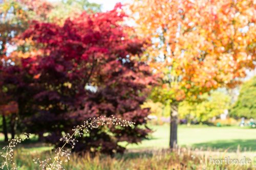 HR-18-10-13-14-23-57-0427