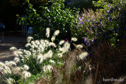 HR-18-10-13-14-27-13-0434