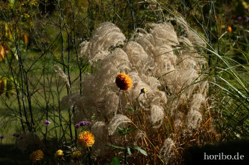 HR-18-10-13-14-29-59-0437