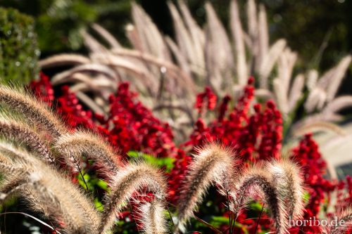 HR-18-10-13-14-30-59-0442