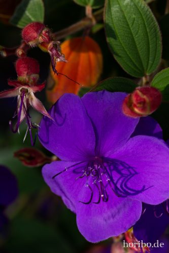 HR-18-10-13-14-34-01-0449