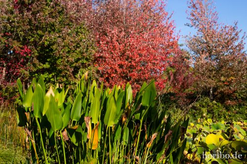 HR-18-10-13-14-42-53-0470