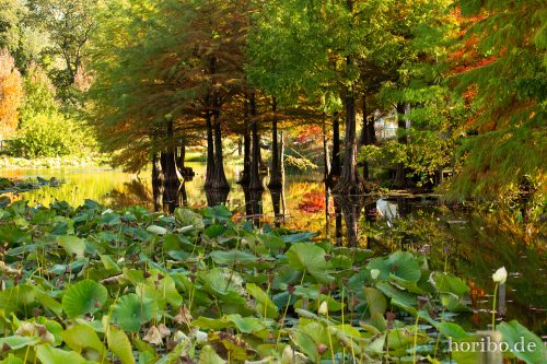 HR-18-10-13-14-45-45-0474