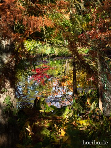 HR-18-10-13-14-55-48-0486