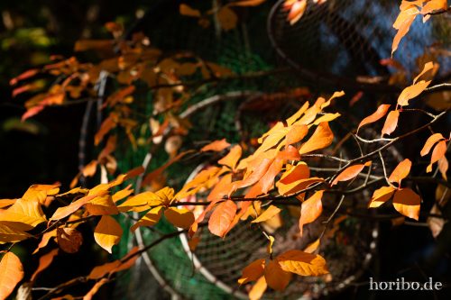 HR-18-10-13-14-58-07-0487