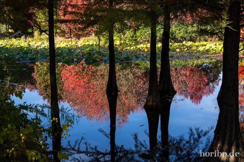 HR-18-10-13-15-00-05-0491