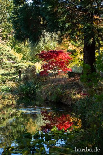 HR-18-10-13-15-02-35-0496