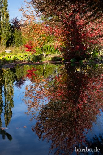 HR-18-10-13-15-05-17-0502