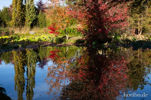 HR-18-10-13-15-05-32-0503