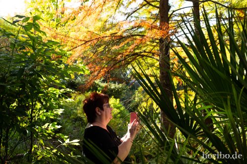 HR-18-10-13-15-06-09-0504