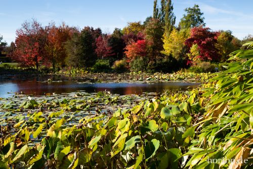 HR-18-10-13-15-12-09-0510