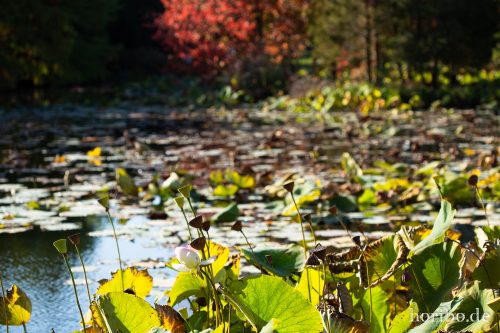 HR-18-10-13-15-19-26-0522