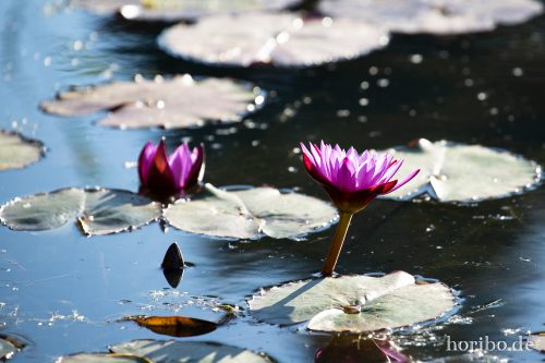 HR-18-10-13-15-35-13-0530