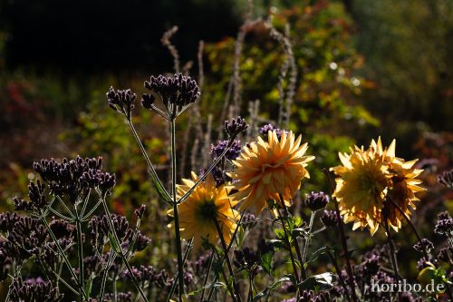 HR-18-10-13-15-48-52-0550