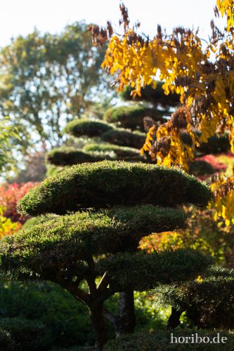 HR-18-10-13-15-56-54-0558