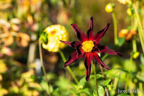 HR-18-10-13-15-59-56-0561