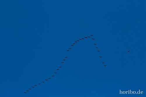 HR-18-10-13-16-01-26-0563