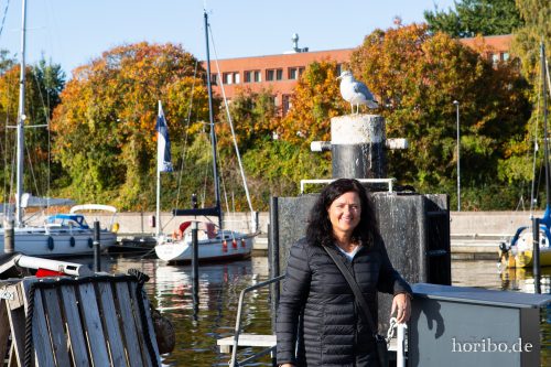 HR-18-10-19-11-00-16-0568