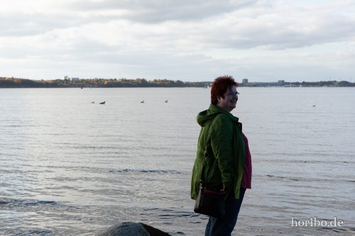 HR-18-10-19-15-25-25-0677