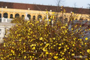 HR-19-02-23-15-10-19-1311