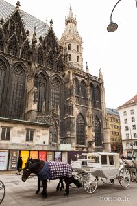 HR-19-02-24-13-08-16-1442