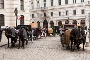 HR-19-02-24-16-26-40-1534