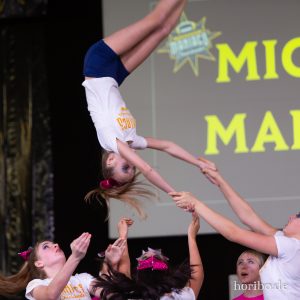 HR-19-03-16-17-06-31-2199