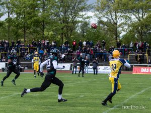 HR-19-05-04-17-25-34-3366