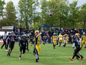 HR-19-05-04-18-07-01-3487