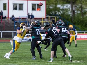 HR-19-05-04-18-13-17-3522