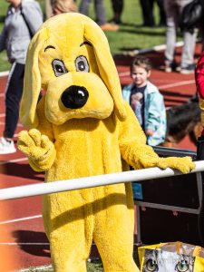 HR-19-05-11-18-05-19-4359