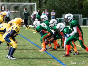 HR-19-05-19-12-21-46-4564