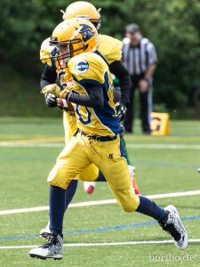 HR-19-05-19-12-24-07-4582