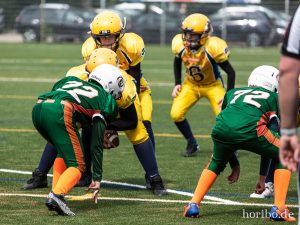 HR-19-05-19-12-25-23-4596