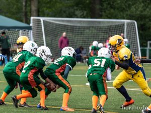 HR-19-05-19-12-32-29-4639