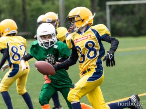 HR-19-05-19-12-49-42-4733