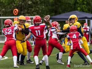 HR-19-05-25-12-02-43-5421