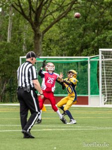 HR-19-05-25-12-15-15-5483