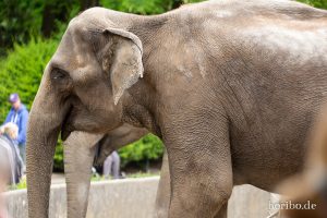 HR-19-05-29-13-15-09-6029