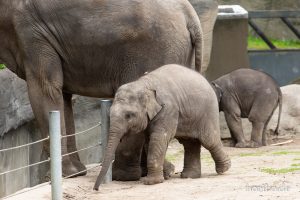 HR-19-05-29-13-17-47-6033