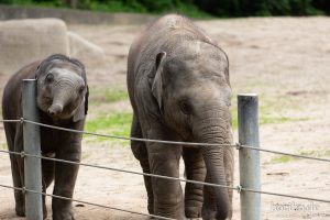 HR-19-05-29-13-18-29-6035