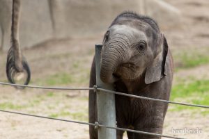 HR-19-05-29-13-18-31-6036