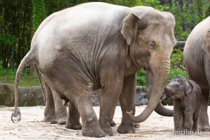 HR-19-05-29-13-23-03-6044