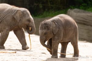 HR-19-05-29-13-25-59-6049