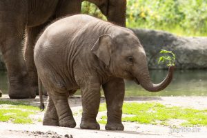 HR-19-05-29-13-29-14-6052